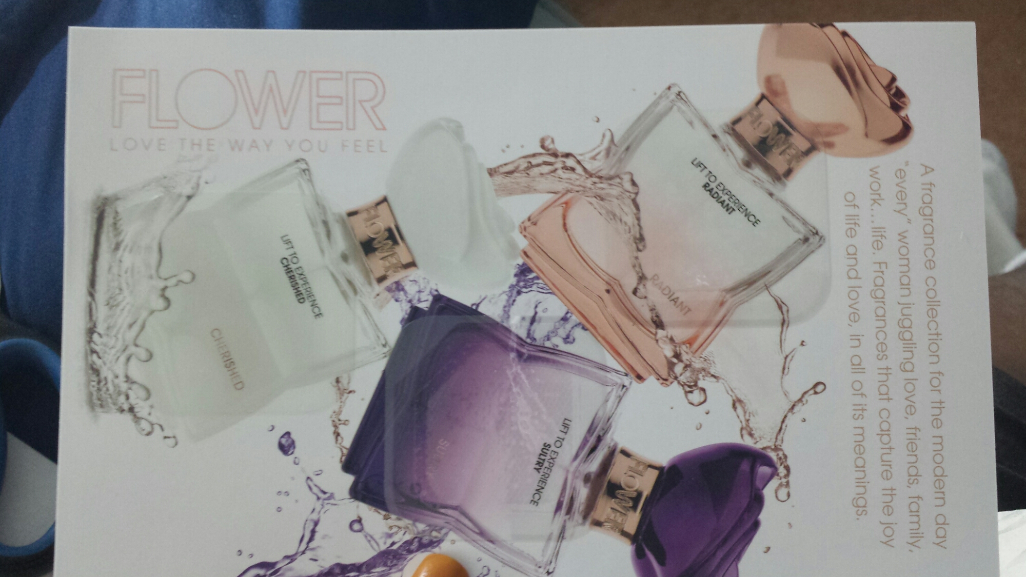 20141216_115516.jpg image